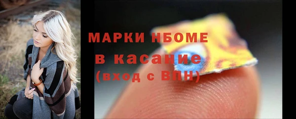 твердый Новодвинск