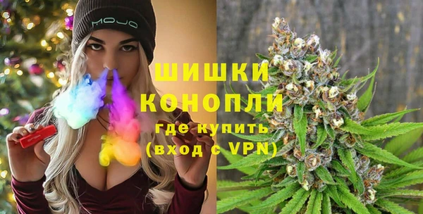 твердый Новодвинск