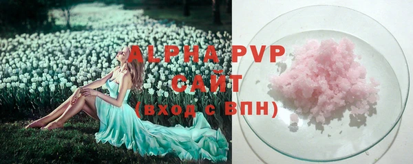 твердый Новодвинск