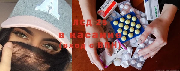 твердый Новодвинск