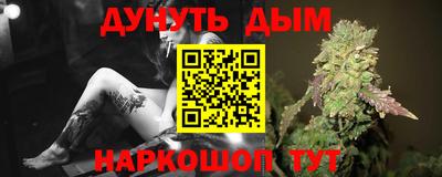 крисы Бийск