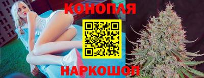 спиды Волгодонск