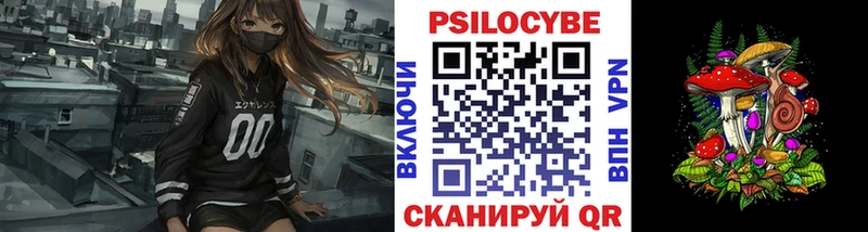 где купить наркоту  Когалым  Псилоцибиновые грибы Cubensis 