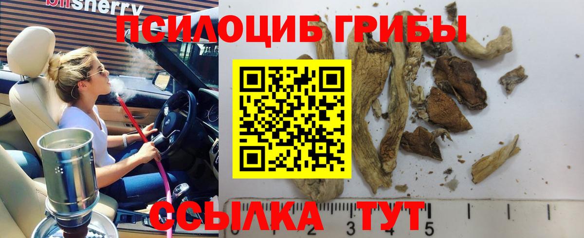 Галлюциногенные грибы GOLDEN TEACHER  Вход с VPN  Когалым 