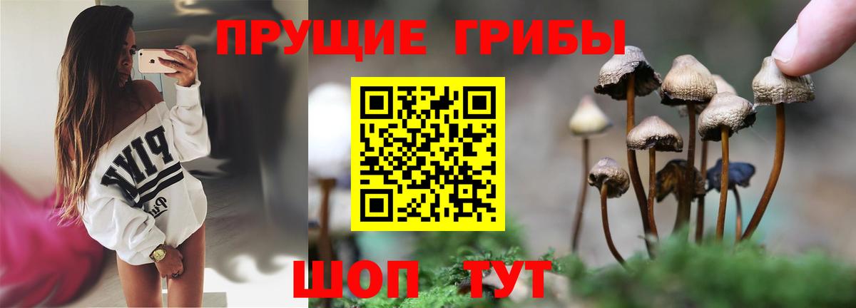 Псилоцибиновые грибы мицелий Когалым